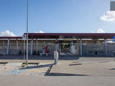 Modugno, il "sentiero dei carrubi"